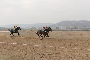 В Крыму определили победителей конных скачек сезона-2015