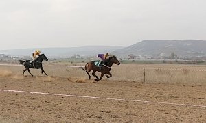 В Крыму определили победителей конных скачек сезона — 2015