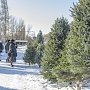 «Новогодние красавицы» приедут в Крым из Ростовской области