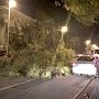 В Севастополе ураган валит деревья и обрывает провода