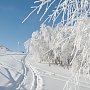 Погода в Крыму: прогноз на первые дни зимы
