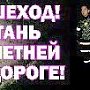 ГИБДД просит крымчан использовать световозращательные элементы в одежде