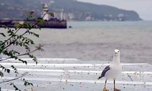 В среду в Крыму до 6 градусов тепла