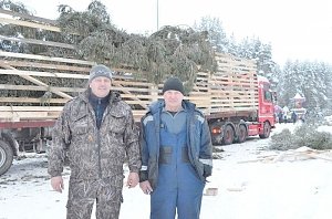 Новогодняя 20-метровая ель выехала из Великого Устюга в Крым – лично готовил её к отправлению главный российский Дед Мороз