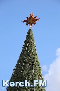 В Керчи главная елка готова к зажжению