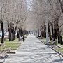 В первый рабочий день в Крыму тепло и без осадков