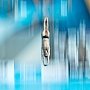 Россия однозначно ответила на просьбу FINA не проводить турнир по прыжкам в воду в Крыму