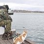 Рыбалка с берега в Крыму: зимнее табу