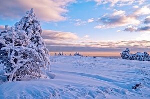 В Крыму ожидается резкое похолодание и снег