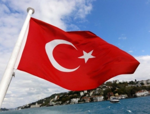 Турция снабдит оружием украинских добровольцев для атаки на Крым