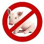 Внимание: вспышка африканской чумы свиней