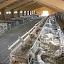 В Раздольненском районе инвесторы желают построить овцеводческий комплекс