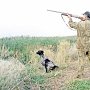В Крыму ввели временный запрет на шумовые методы охоты из-за АЧС