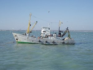Крымские рыбаки в январе выловили почти 5 тонн рыбы