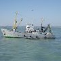 Крымские рыбаки в январе выловили почти 5 тонн рыбы
