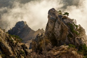 Крымский февраль будет аномально теплым