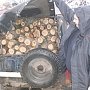 Сотрудниками полиции Кировского района пресечена нарушающая закон деятельность лесорубов