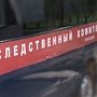СКР начал проверку обстоятельств смерти жителя Севастополя в «Домодедово»
