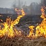 Рослесхоз: на полуострове начались лесные пожары