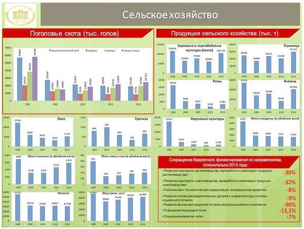 В.И. Кашин: Реформировать надо с умом