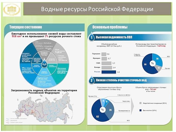 В.И. Кашин: Реформировать надо с умом