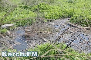 В Керчи в море стекает канализация, – читатель