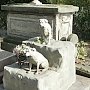 Столичные власти выделят землю под размещение кладбища для домашних животных