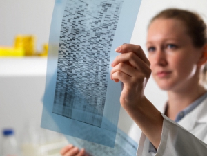 Студенты Медакадемии КФУ будут изучать геном человека