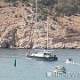Греки готовы залить Крым вином и катать всех на яхтах