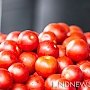 Крымское чудо: в Бахчисарае уже собрали урожай помидоров и продают в разы дороже, чем турецкие