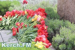 В Керчи возложили цветы в честь манифеста о присоединении Крыма к РФ