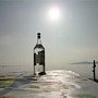 Крымским продавцам алкоголя дали ещё полгода на освоение IT