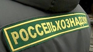 Россельхознадзор в апреле не пустил в Крым три тонны продукции