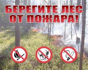 Выезжая на природу, будьте осторожны с огнем