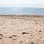 Все на пляж! Море у берегов Крыма прогрелось до +19