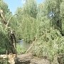 Во время гроз и шквального ветра в Симферополе обрушились 29 деревьев