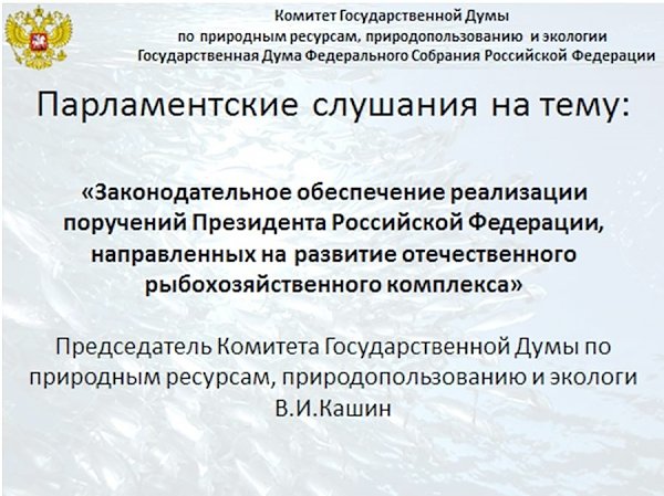 В.И. Кашин: «Законодательное обеспечение реализации поручений Президента Российской Федерации, направленных на развитие отечественного рыбохозяйственного комплекса»