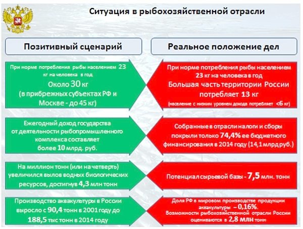 В.И. Кашин: «Законодательное обеспечение реализации поручений Президента Российской Федерации, направленных на развитие отечественного рыбохозяйственного комплекса»