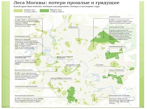 В.И.Кашин провел расширенное заседание секции Высшего экологического совета на тему: «Актуальные проблемы правового регулирования создания лесопарковых зеленых поясов крупных городов»