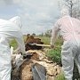В Крыму ликвидировали три несанкционированные свалки биологических отходов