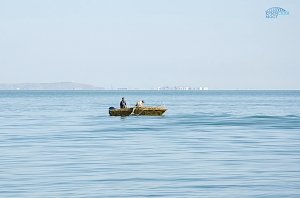 В районе строительства Керченского моста идёт мониторинг водных биоресурсов