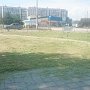 В Керчи на улице Ворошилова косят траву