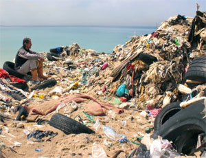 Спасти Крым от мусора могут только мигранты