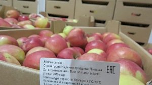 Более 15 тонн санкционных польских яблок и испанских апельсинов уничтожены на Симферопольском полигоне ТКО