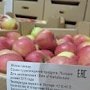 В Крыму на свалке захоронили 15 тонн яблок и апельсинов