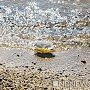 В Феодосии четвертые сутки закрыты пляжи: результаты проб воды ожидают сегодня