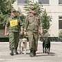 В Крыму определяют лучшую собаку, умеющую находить взрывчатку и наркотики