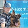 Лучше всех в Крыму находят взрывчатку и наркотики собаки службы исполнения наказаний