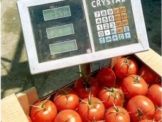 В Севастополе принудили поставщика уничтожить 34 кг санкционных турецких помидоров