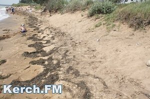 Туристы жалуются на черный песок в Героевке